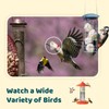 NETVUE by Birdfy Upgraded Smart Bird Feeder Camera, Solar Powered,