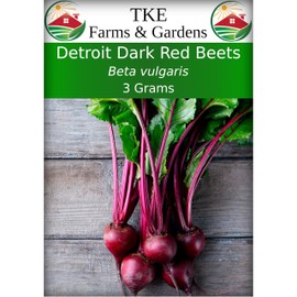 TKE Farms & Gardens - Detroit Dark Red Beet Seeds for Planting, 3 Grams, 125+ Heirloom Non-GMO Seeds, Ideal for Spring and Fall Planting, Perfect for Outdoor & Indoor Gardens, Beta Vulgaris