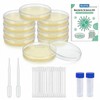 Bacteria Growing Kit with Pre-Poured Agar Plates | LB Agar