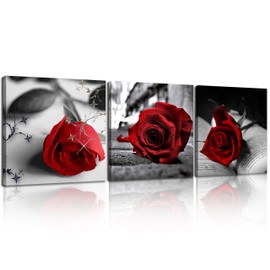 NAN Wind Canvas Print 3 Pcs Black and White Red Rose Canvas Art Painting Abstract Wall Art Decorations Flower Picture on Canvas for Home Decor Stretched and Framed