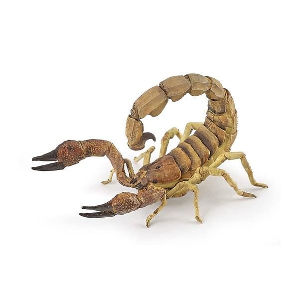 Papo -Hand-Painted - Figurine -Wild Animal Kingdom - Scorpion -50209 -Collectible - for Children - Suitable for Boys and Girls- from 3 Years Old