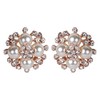 ASHI'S Collection rounded stud ear-ring with exquisite crystal and pearl.