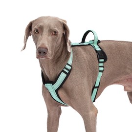 Abuandi Dog Harness with Security Lock Buckle for Small Medium Large Dogs, Adjustable Dog Cooling Vest, Reflective No Pull No Choke Harness for Trail Running, Walking, Hiking, Camping