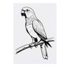 'Australian King Parrot' Temporary Tattoo - Water Resistant, Skin-Safe, Non-Toxic