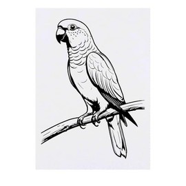 'Australian King Parrot' Temporary Tattoo - Water Resistant, Skin-Safe, Non-Toxic Transfer (TO00078177)