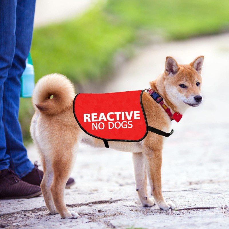 Reactive No Dogs Dog Jacket Vest Reactive Dog Give Me