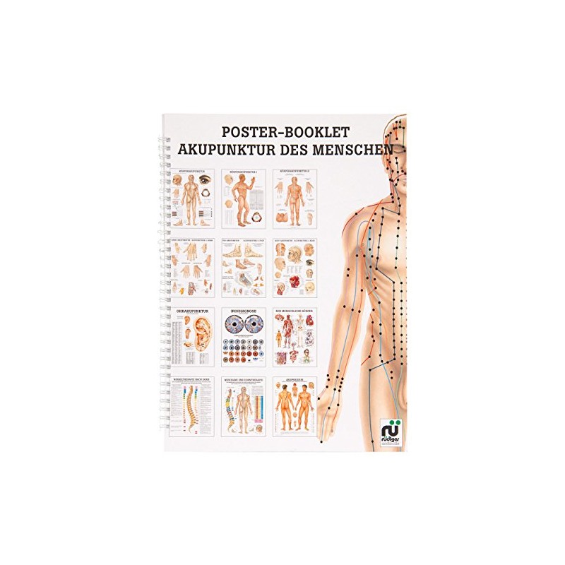 Acupuncture of Man Mini Poster Booklet Anatomy 34 x 24