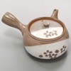 Ichikyu Mino Ware Teapot, Kohikizakura, Made in Japan, 11.8 fl