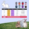 Niteangel Adjustable Soft Harness with Elastic Leash for Rabbits (M,