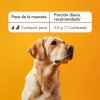 Suplemento Alimenticio Para Perros/gatos Con Colágeno 70g