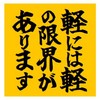 Light Has The Limit Of Light Funny Car Magnet Sticker