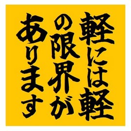 Light Has The Limit Of Light Funny Car Magnet Sticker