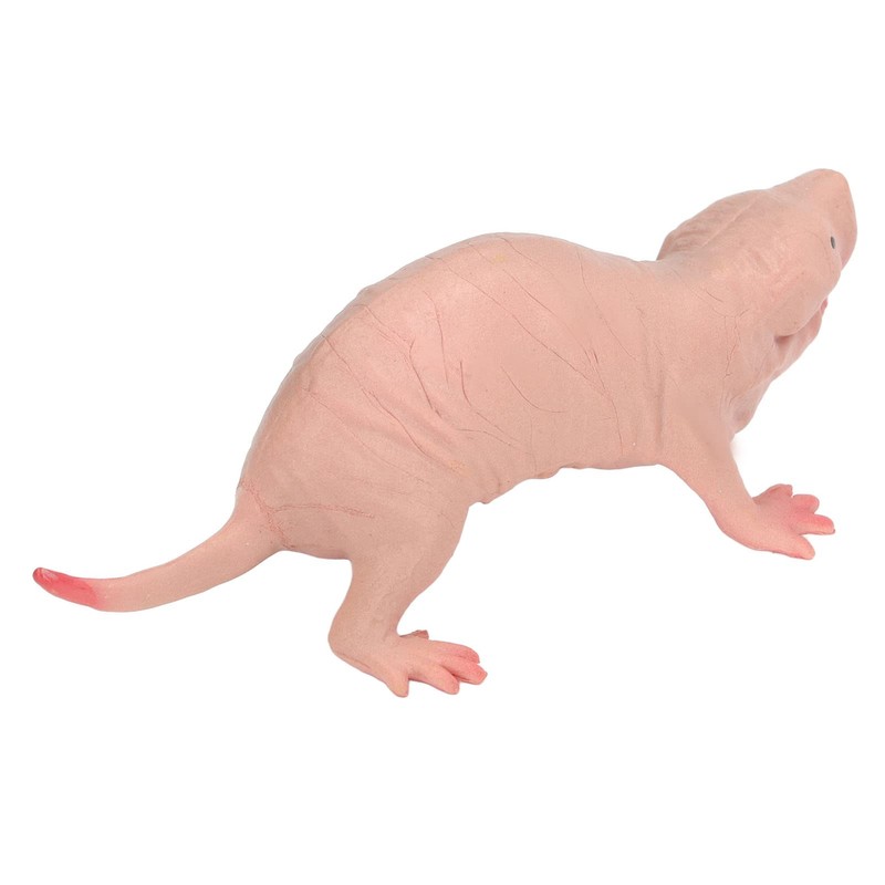 VBESTLIFE Plastic Mole Figure, Plastic Mole Figure, Toy Simulation, Static