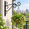 Iron Wall Plant Hanger Hooks for Hanging Flower Pots –