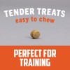 Sportsman's Pride Field Master Perfect Partner Chicken & Brown Rice
