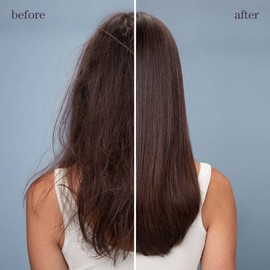 Pureology Prime, Protect & Perfect Trio Bundle