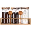 Yangbaga Glass Sugar Coffee Canister with Shelf, 3 x 45OZ