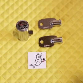 FSI, USI, WITTERN & VENDNET SNACK or SODA VENDING MACHINE B0600 LOCK & (2) KEYS