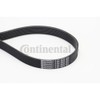 CONTITECH 8PK2035 V-Ribbed Belt
