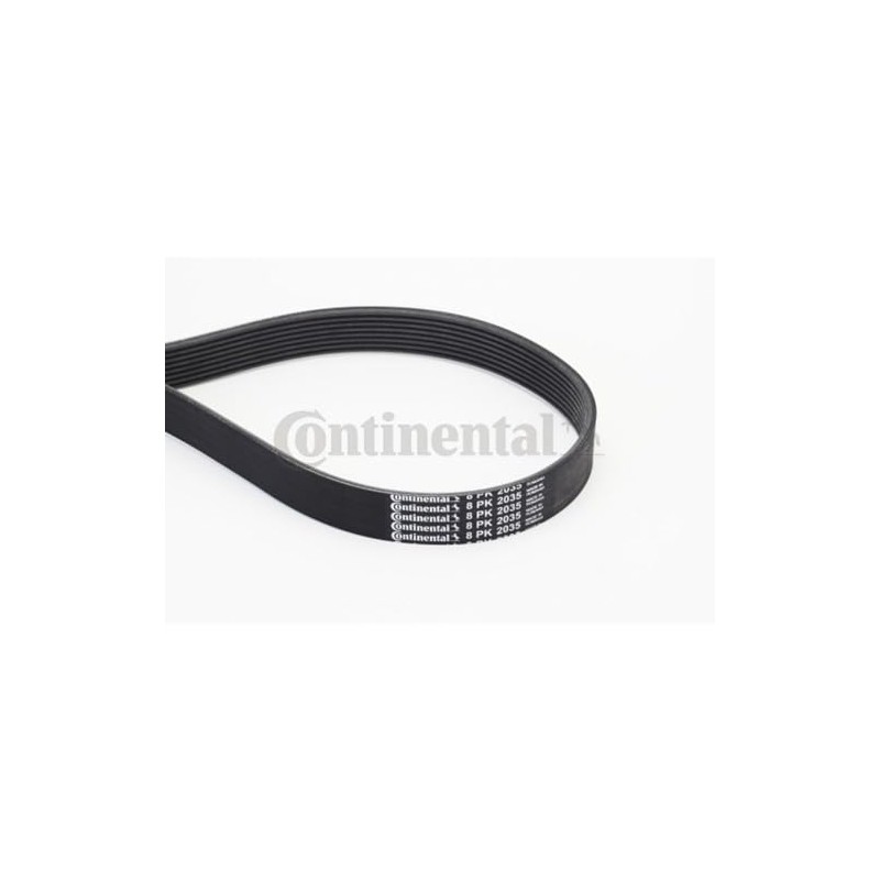 CONTITECH 8PK2035 V-Ribbed Belt