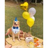 Waghaw Dog Birthday Bandana， Dog Birthday Hat Dog Birthday Gift