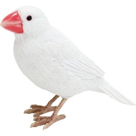 Birdie Bill Realistic Bird Hard Type Toy Doll Figure (Cockatiel)