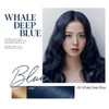 Mise En Scene All New Hello Bubble Foam Hair Colour