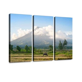 BELISIIS mayon Volcano eruptions and Pictures Wall Artwork Exclusive Photography Vintage Abstract Paintings Print on Canvas Home Decor Wall Art 3 Panels Framed Ready to Hang