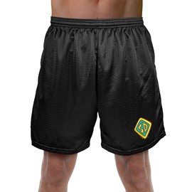 Popfunk Scooby Doo! Tag Mens Lined Mesh Shorts, Black, Small