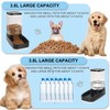 Elevon Automatic Cat Feeder, Gravity Food and Water Dispenser Bowl