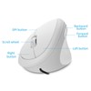 KUYHRF Ergonomic Mouse,Vertical Mouse, Mouse Ergonomic, 800 / 1200 /1600