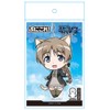 [azumaker] 501st Integrated Combat Airline Strike Witches ROAD to BERLIN