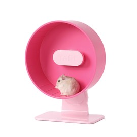 Silent Hamster Wheel 8.7 Inch Dual-Bearings Small Animals Quiet Running Exercise Wheels, Height Adjustable for Dwarf Hamsters, Gerbils, Mice, Hedgehog, Lemmings, or Other Small Pets,Raspberry Pink