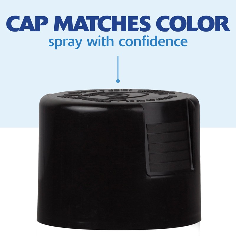 Rust-Oleum 331172-6PK Painter's Touch 2X Ultra Cover Spray Paint, 12