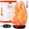 The Body Source Himalayan Salt Lamp 6-8 Inches (4-7lb) |