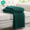 RUIKASI Fleece Throw Blanket for Sofa - Single Fluffy Emerald