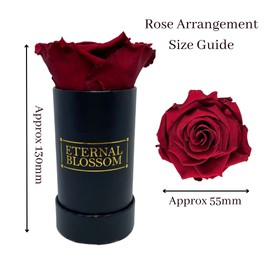 Eternal Blossom Preserved Real Infinity Rose | Eternal Rose That Lasts Over A Year | Black Box | With Gift Box (Rouge Red)