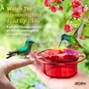 iBorn Handheld Hummingbird Feeders for Outdoors, Hummingbird Hand Feeder 3OZ
