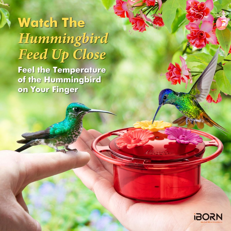 iBorn Handheld Hummingbird Feeders for Outdoors, Hummingbird Hand Feeder 3OZ