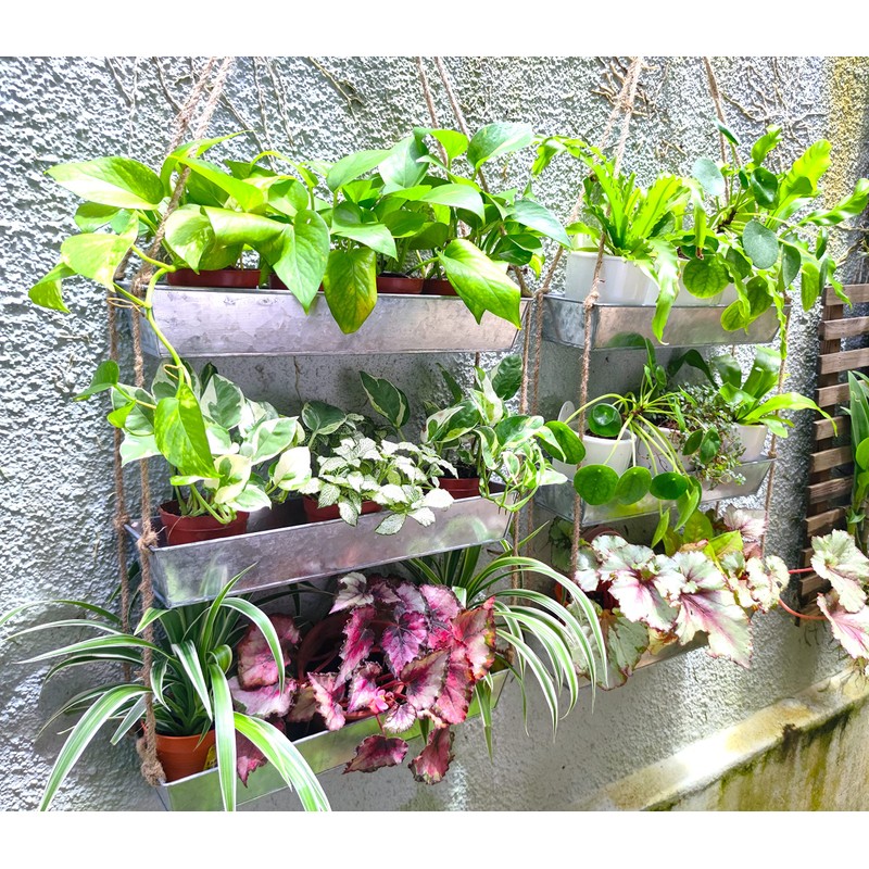 LaLaGreen Wall Hanging Planter - 16 Inch Wall Planters for