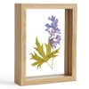 Photo Frame, Postcard Size, Double-Sided, Glass, Antique, Natural, Stylish, Pressed