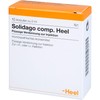 Solidago Comp.Heel Ampoules Pack of 10