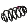 GM Genuine Parts 13312084 Rear Coil Spring , Black