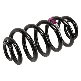 GM Genuine Parts 13312084 Rear Coil Spring , Black
