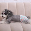 CuteBone Washable Dog Nappies for Female Dogs, Pack of 3