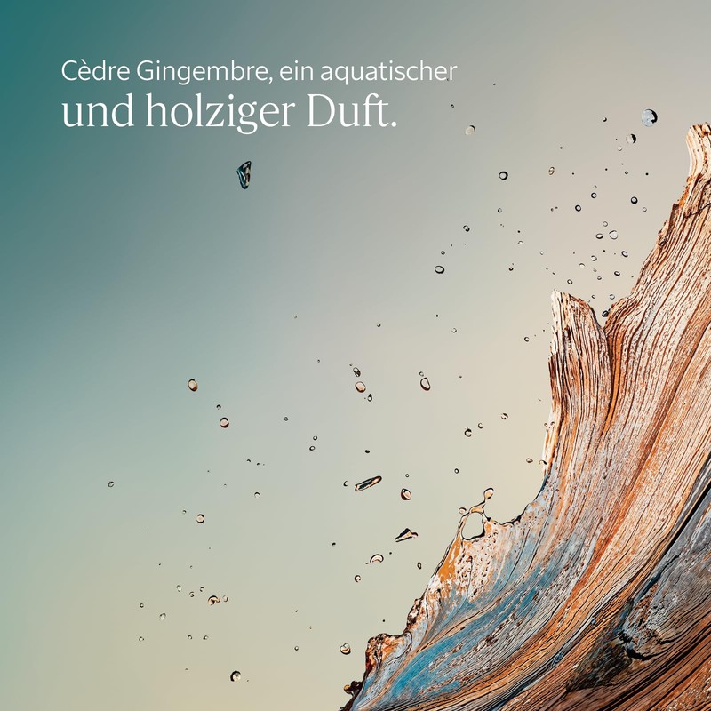 L'OCCITANE Cèdre Gingembre Shower Gel (formerly Cap Cédrat) – 250