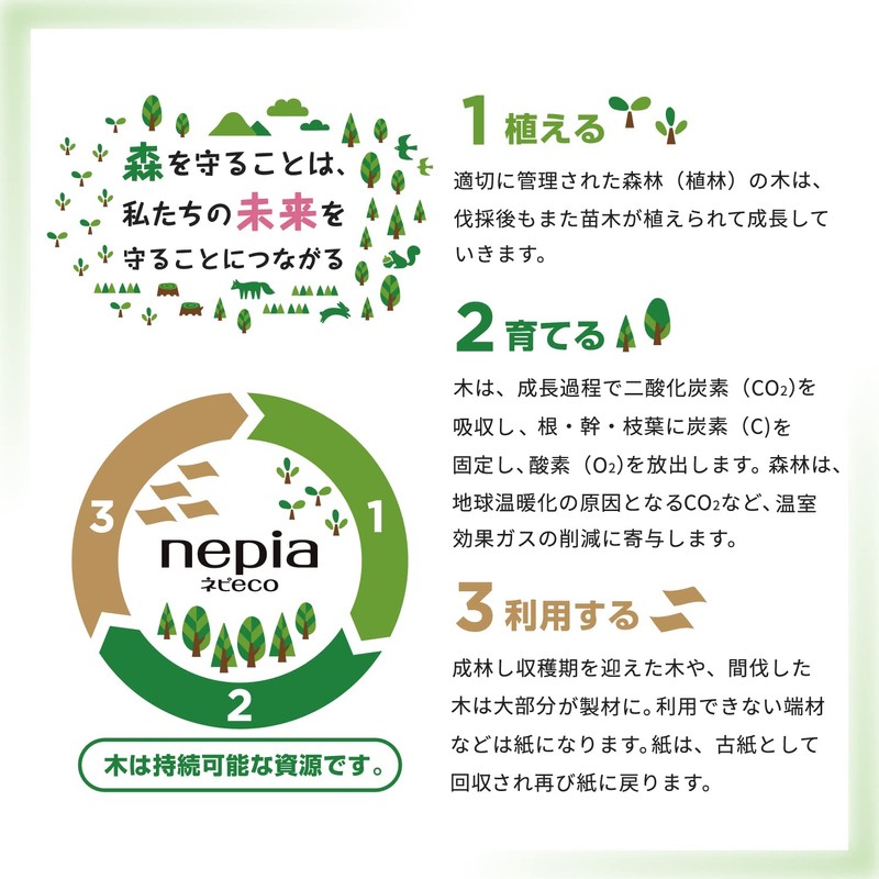 Nepia Nepi Eco Kitchen Towel, 2 Rolls, 100 Cut