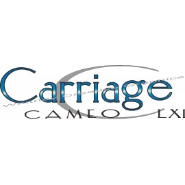 Unbranded Carriage Cameo LXI/SEL  RV Graphic trailer Decal 29"x9" Made fresh!