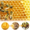 Beeswax Sheets 30Pcs Beeswax Foundation Sheets Wax Foundation for Bee