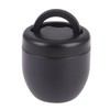 Oasis Stainless Steel Double Wall Insulated Food Pod 470Ml -